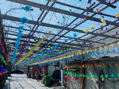 -亲兄弟真人CS团建拓展基地