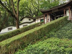 -上海佘山国家森林公园天马山园