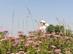 -汉长安城未央宫国家考古遗址公园