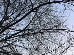 -沐仙湖湿地公园