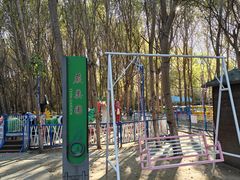 -长白岛森林公园