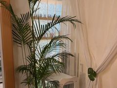-沐森 •疗愈头疗馆(打浦桥店)