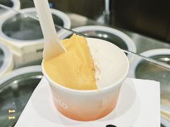 -Dip in Gelato(富民路店)