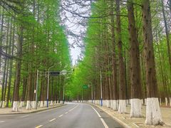 -大连理工大学(凌水校区)