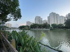 -河泥荡文化公园