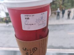妖精-茶颜悦色(岳麓山顶店)