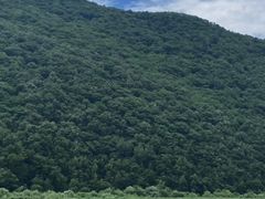 -老秃顶草原景区