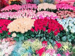 -越秀西湖花市(广州城市广场花卉店)