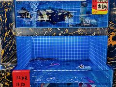-鑫鸿达·海鲜闽菜热炒小馆(中山路店)