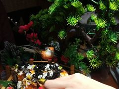 -鳗鱼家·深夜食堂(军博店)