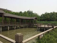 iphone_upload_pic-溱湖国家湿地公园