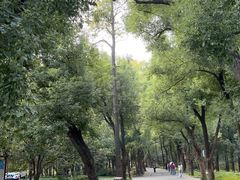 -东湖落雁景区
