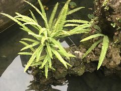 -楠柏弯休闲山庄(梨花溪店)