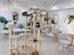 大堂-共舞时光猫咖·狗咖(新街口店)