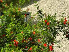 -上海蔡元培故居陈列馆