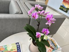 -浦发银行(联洋支行)