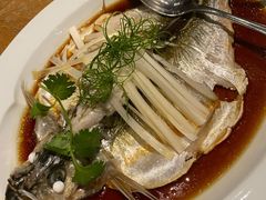 -宁波柏悦酒店·钱湖渔港