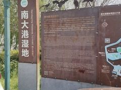 -南大港湿地风景区