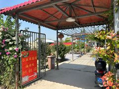-小鱼草莓采摘园农家乐·小鱼餐厅