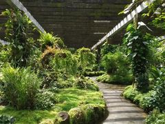 -深圳仙湖植物园