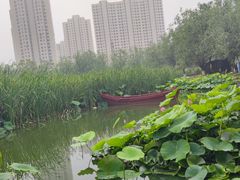 -前关湿地公园