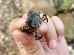 -黑石礁公园