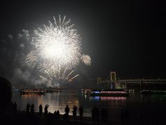 -台场海滨公园船码头