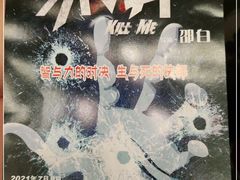 -宁波大剧院