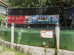 -天怡·鱼工厂(梅溪湖店)