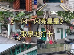 -中山公园