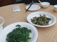 白酒有机豆苗-瑞福园联谊餐室(茂名南路店)