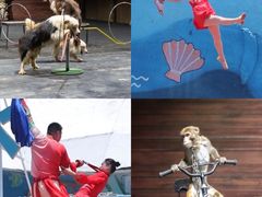 -汕头蓝水星欢乐世界