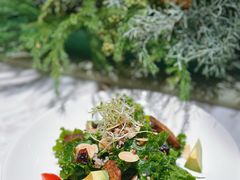-茹·pure vegan(博华广场店)