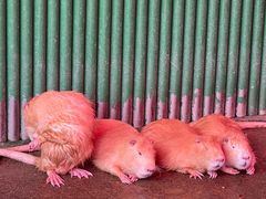 -杭州野生动物世界