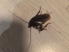 -锦江之星(南京新街口店)