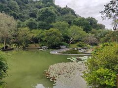 -云溪植物园