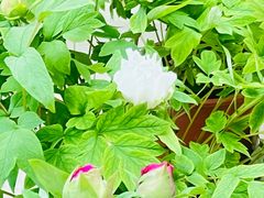 -北京市垂杨柳医院