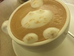 -猫色咖啡·猫咖