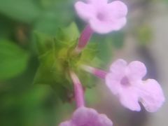 -纪念孙中山市政公园