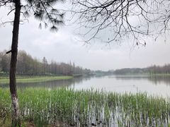 -苏州东太湖生态园