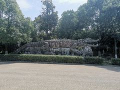 -中国扬子鳄村