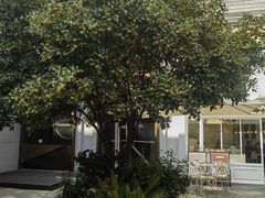 -PETIT PARIS 小巴黎(花园道店)