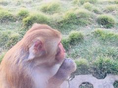 游乐设施-武汉紫薇都市田园