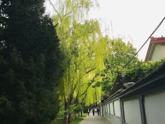-玲珑塔公园