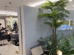 -八佰伴8008星级形象店