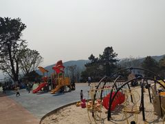 -铁山坪森林公园