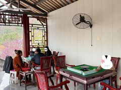 -桃源山庄·水蜜桃采摘·柴火鸡·烧烤团建(龙泉山店)