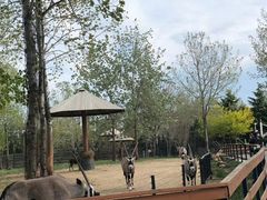 -大连森林动物园