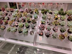 -KKV(深圳宏发大仟里店)