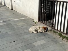 -德兴馆(福建中路店)